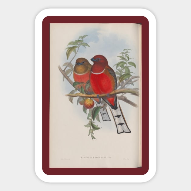 Two Red Birds Sticker by pocketlama